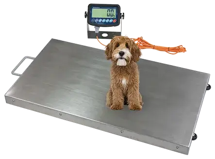 Vet-smart – Veterinary scale - Image 2