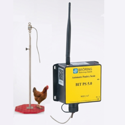 Automatic chicken weighing & monitoring scales BIT 5.0