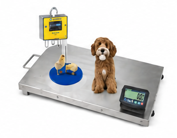 Poultry and Animal weighing